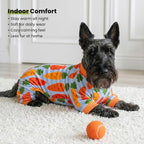 Fitwarm Carrot Dog Flecce Pajamas, Funny Easter Outfit for Small Dogs Boy Girl, Cute Pet Clothes, Blue, Orange, Red, Green, Medium