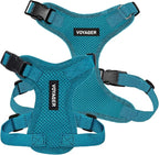 Voyager Step-in Pet Harness - All Weather Mesh, Adjustable Step in Harness for Cats and Dogs by Best Pet Supplies - Turquoise, M