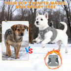 KOOLTAIL Plush Small Dog Harness and Leash Set, Warm Fleece No Pull Puppy Vest for Winter, Lightweight Reflective Step in Pet Harness for Medium Sized Dogs Boy Girl Outdoor Walking Cute Soft, Gray S