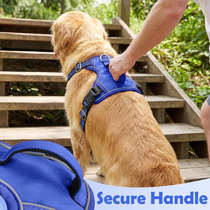 Funfox Dog Harness No Pull, Adjustable Pet Vest Harness, Super Soft Material with Vertical Handle Easy Control, Reflective Night Walking, 2 Leash Clips for XLarge Dogs, Blue, XL