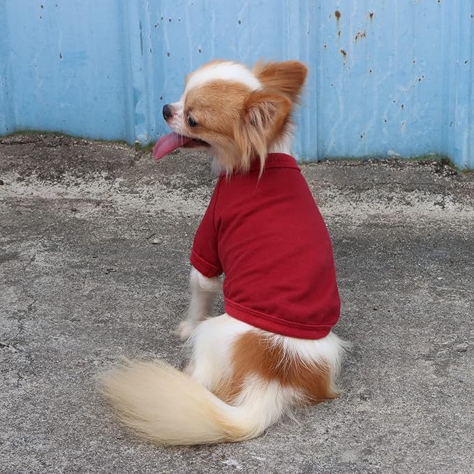 LOPHIPETS 100% Cotton Dog Tee Shirt for Small Dogs Chihuahua Puppy Clothes-Red/XL