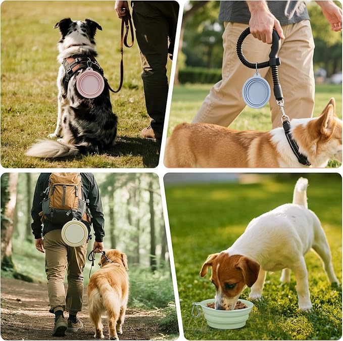 2-Pack, LeeRound Small Medium Collapsible Dog Water Bowl for Travel, Food-Grade Silicone Bowl, Portable Dog Bowl with Hook, Outdoor Pet Feeding Bowls Meet Needs in Different Scenarios, Pet Essentials