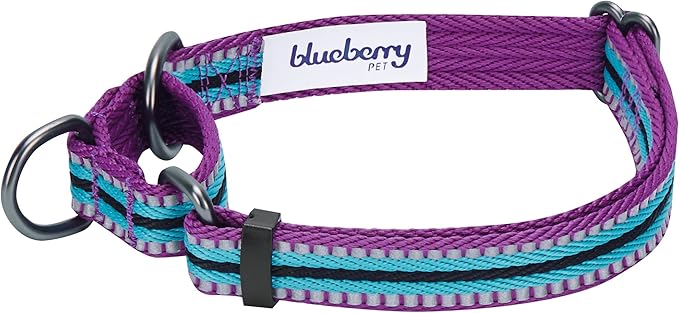 Blueberry Pet 4 Colors 3M Reflective Multi-Colored Stripe Martingale Safety Training Dog Collar, Violet and River Blue, Small, Heavy Duty Adjustable Collars for Dogs