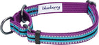 Blueberry Pet 4 Colors 3M Reflective Multi-Colored Stripe Martingale Safety Training Dog Collar, Violet and River Blue, Small, Heavy Duty Adjustable Collars for Dogs