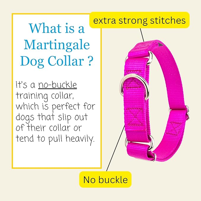Country Brook Petz - Martingale Dog Collar - Heavy-Duty Training Collar with No Buckle - Service Dog Collar for All Pups - 10+ Cool Colors (Fuchsia, 3/4 Inch, Small)