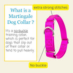Country Brook Petz - Martingale Dog Collar - Heavy-Duty Training Collar with No Buckle - Service Dog Collar for All Pups - 10+ Cool Colors (Fuchsia, 3/4 Inch, Small)