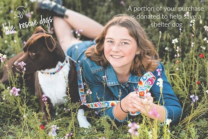 Lucky Love Dog - Easy Click Buckle Dog Collar with Leash Set Combo, Durable & Comfortable for Male & Female Dogs, Pet Collar for Medium Dogs, Secure Fit - Ladybird Combo, Medium