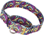 1.5 Inch Wide Martingale Dog Collar - Adjustable No Pull Choke Cinch Escape Proof Training Collar for for Pitbulls, German Shepherds（Tribal XL