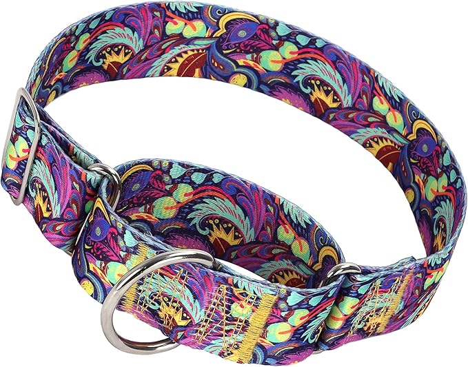 1.5 Inch Wide Martingale Dog Collar - Adjustable No Pull Choke Cinch Escape Proof Training Collar for for Pitbulls, German Shepherds（Tribal XL