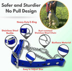 Martingale Collar for Dogs, Biothane, Stainless Steel Hardware, No Pull, Made in The USA, Professional Grade, XXS, Blue