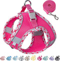 Petank Dog Harness for Small Medium Dogs No Pull, Puppy Harness and Leash Set for Walking, Running, Training, Small Dog Harness, Medium Dog Harness (Rose Red, XXS)