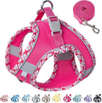 Petank Dog Harness for Small Medium Dogs No Pull, Puppy Harness and Leash Set for Walking, Running, Training, Small Dog Harness, Medium Dog Harness (Rose Red, S)