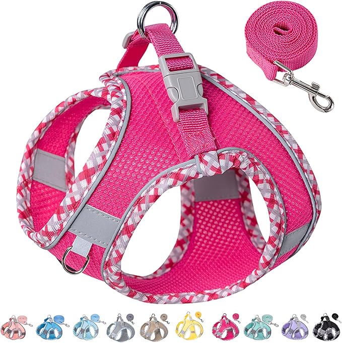 Petank Dog Harness for Small Medium Dogs No Pull, Puppy Harness and Leash Set for Walking, Running, Training, Small Dog Harness, Medium Dog Harness (Rose Red, L)