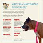 Country Brook Petz - Martingale Dog Collar - Heavy-Duty Training Collar with No Buckle - Service Dog Collar for All Pups - 10+ Warm Colors (Hot Pink, 1 Inch, Large)