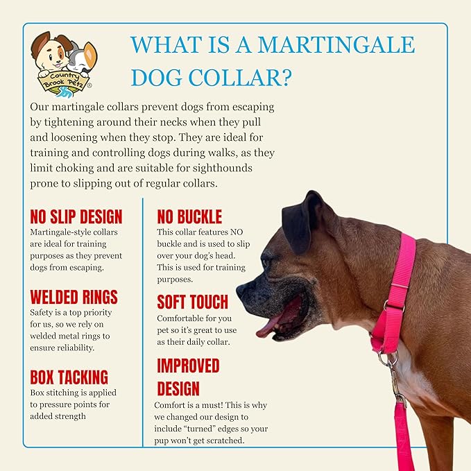 Country Brook Petz - Martingale Dog Collar - Heavy-Duty Training Collar with No Buckle - Service Dog Collar for All Pups - 10+ Warm Colors (Hot Pink, 3/8 Inch, 3XS)