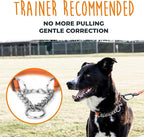 Mighty Paw Martingale Dog Collar 2.0 | Trainer Approved Limited Slip Collar with Stainless Steel Chain & Heavy Duty Buckle - Modified Cinch for Gentle & Effective Pet Training - Medium, Orange