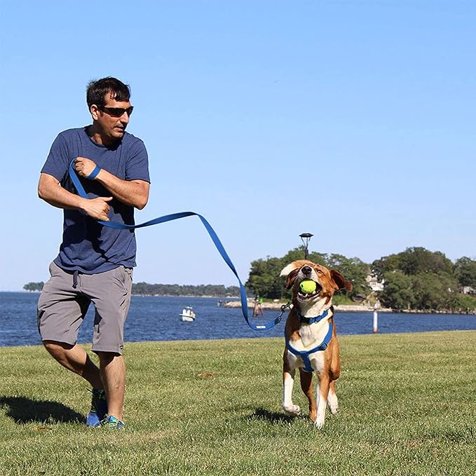Pawtitas Recycled Reflective Step-in Dog Harness – Adjustable No-Pull Vest for Puppies to Seniors, Safe & Comfortable S Teal
