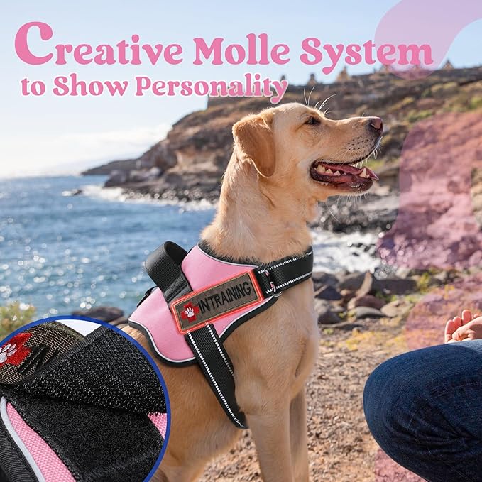 rabbitgoo Dog Harness Small Sized, No Pull No Choke Pet Vest, Easy Wearing with One Buckle, Reflective, Adjustable Pet Harness with Molle for Walking, Training, Pink, S