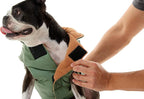 Gooby - Sports Vest, Fleece Lined Small Dog Cold Weather Jacket Coat Sweater with Reflective Lining, Green, X-Large