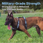 PawsPassion Dog Harness for Large Dogs, No Pull Dog Harness Easy Walk with Metal Hardware, Ergonomic Y-Shaped Design, Soft Padding, Padded Handle, Durable High-Tensile Nylon (Horizon, L)