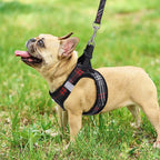 PUPTECK Dog Harness and Leash Set for Small Medium Dogs No Pull Step-in Soft Mesh Puppy Cat Vest Harnesses Reflective at Night, Plaid Pattern Black L