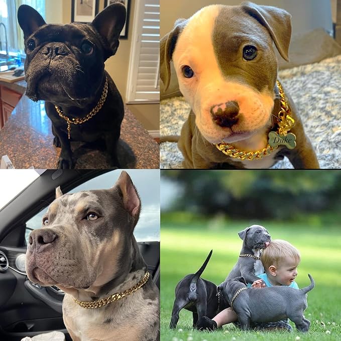 Strong Stainless Steel Gold Dog Chain Collar with Safety Buckle,14MM Cuban Link Chain Collar,Dog Necklace Walking Collars for Small Little Medium Dogs Puppy