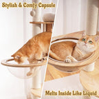Modern Cat Tree Tower with Scratching Post, 61.5in Tall Cat Tree for Indoor Cats, Multi-Level Solid Wood Cat Furniture with Ladder, Cozy Cat Beds, Cat Condo, Capsule Nest, Dangling Toy, Natural