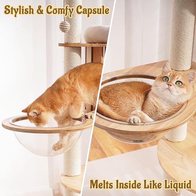 Modern Solid Wood Cat Tree for Indoor Cats Large Adult, 61.5in Tall Cat Tower with Sisal Scratching Posts, Ladder, Cozy Cat Beds, Semi-Open Cat Condo, Dangling Ball, Multi-Level Cat Furniture