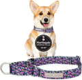 Lucky Love Dog Martingale Dog Collar - Adjustable, No-Slip, Durable, & Soft Webbing Collar for Male and Female Dogs Ideal for Training & Walking - Primrose, Small