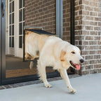 PetSafe Pet Screen Door - Heavy Duty, Tear- & Puncture-Resistant Dog & Cat Mesh Flap - Storm Door Compatible - Large - for Dogs & Cats up to 100 lb