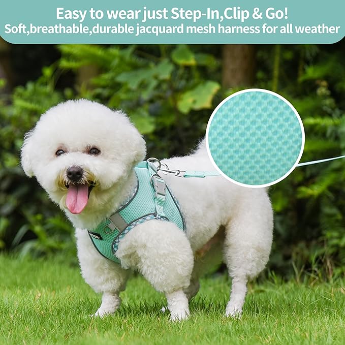 AIITLE Small Dog Harness - Breathable Double-Layer Jacquard No-Choke Vest, Durable Anti-Tear Fabric with Reflective Trim - Perfect for Running, Parties, Daily Walks (Turquoise, XS)