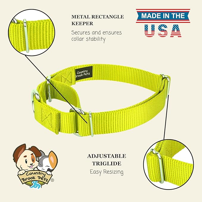 Country Brook Petz - Martingale Dog Collar - Heavy-Duty Training Collar with No Buckle - Service Dog Collar for All Pups - 10+ Warm Colors (Hot Yellow, 3/8 Inch, 3XS)