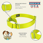 Country Brook Petz - Martingale Dog Collar - Heavy-Duty Training Collar with No Buckle - Service Dog Collar for All Pups - 10+ Warm Colors (Hot Yellow, 3/8 Inch, 2XS)
