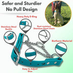 Martingale Collar for Dogs, Biothane, Stainless Steel Hardware, No Pull, Made in The USA, Professional Grade, XXS, Teal