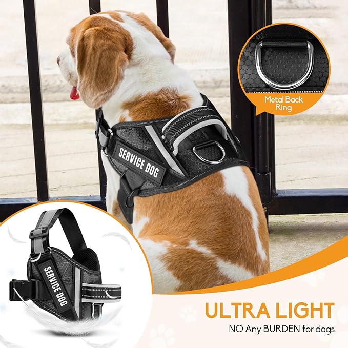 Service Dog Vest Harness and Leash Set, Animire in Training Dog Harness with 10 Dog Patches, Reflective Dog Leash with Soft Padded Handle for Small, Medium, Large, and Extra-Large Dogs (Black,M)