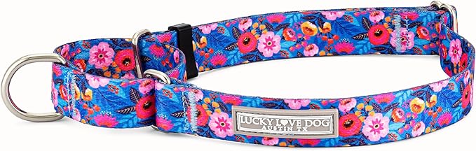 Lucky Love Dog Martingale Dog Collar - Adjustable, No-Slip, Durable, & Soft Webbing Collar for Male and Female Dogs Ideal for Training & Walking - Zuzu, Small