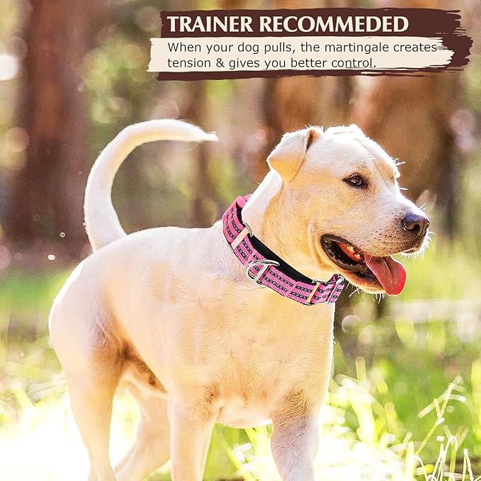 Martingale Collar for Dogs -Reflective Nylon Heavy Duty No Slip Choke Dog Collar with Padded Comfort Quick Release Buckle for Training, Walking & Overexcited Pulling Pink L