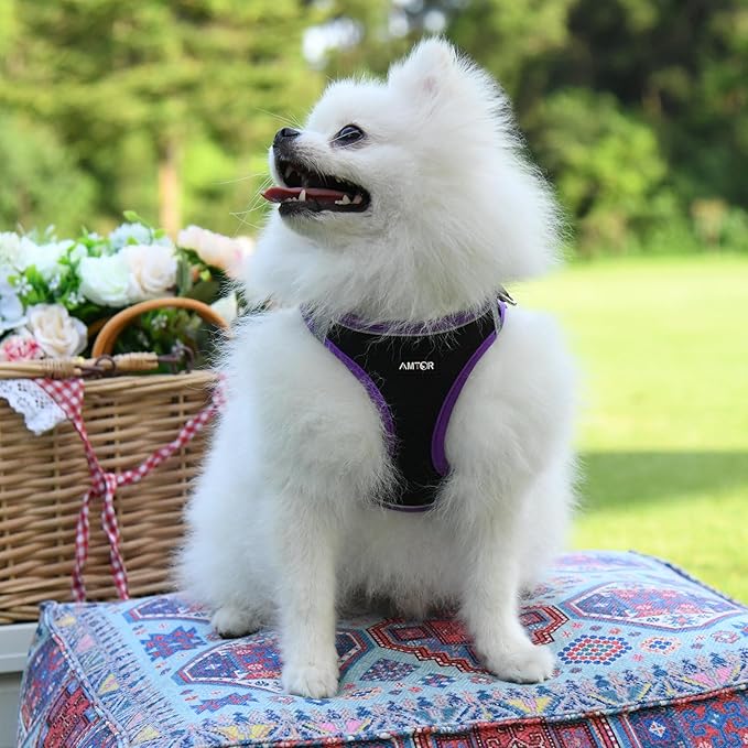 AMTOR Small Dog Harness with Leash Set, No Escape Easy Walk Puppy Harnesses for Training Walking, Step-in Reflective Soft Dogs Vest for XS S Medium Extra-Small Large Sized Dog(XS,Black/Purple)