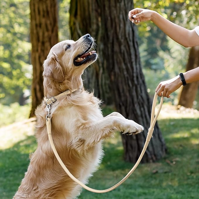 CollarDirect Rolled Leather Dog Leash 6ft, Soft Training Leather Dog Leash for Puppy and Grown Dog Small Medium Large Black Blue Red Orange Green Pink White (Beige, Size S 6ft)