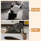 Cardboard Cat Scratcher Lounge Bed for Indoor Cats Kittens, 29.5" 8-Shaped Cat Scratching Board with Catnip, Grey