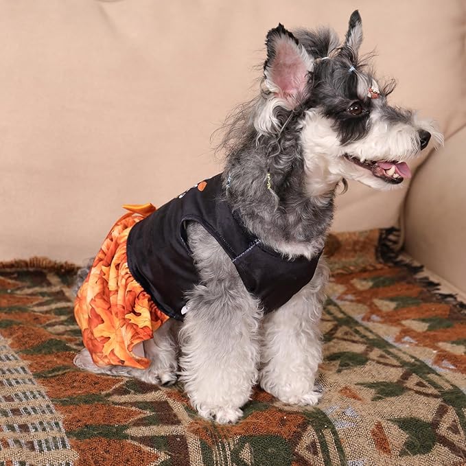CuteBone Thanksgiving Dog Fall Dresses Costume Velvet Holiday Small Dogs Clothes Onesie Pet Apparel Girl Puppy Skirt with Bow Hair Rope CVA52XS-D