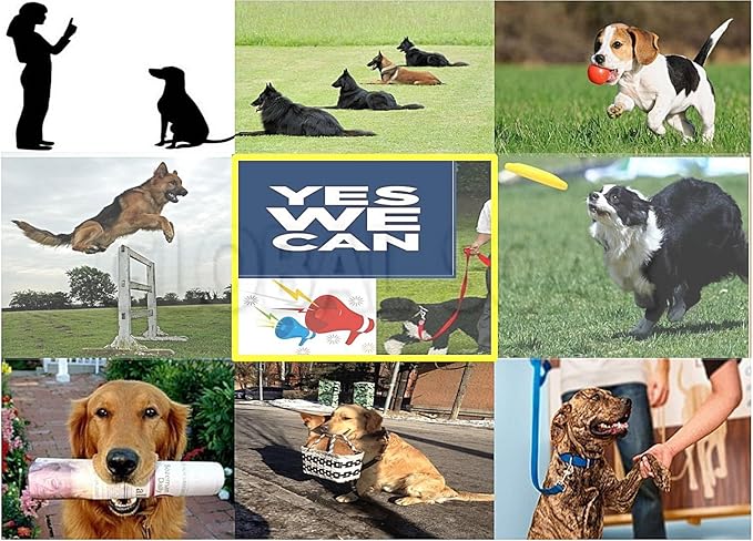 1100 Yard Remote Dog Training Shock Collar with Auto Anti Bark & Waterproof Collar (1-Dog Kit)