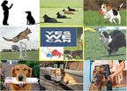 1100 Yard Remote Dog Training Shock Collar with Auto Anti Bark & Waterproof Collar (1-Dog Kit)