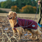 WeatherBeeta ComFiTec Premier Free Parka Deluxe Dog Coat Medium, Maroon/Grey/White, 24"