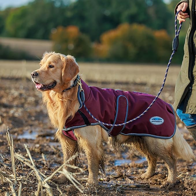WeatherBeeta ComFiTec Premier Free Parka Deluxe Dog Coat Medium, Maroon/Grey/White, 24"