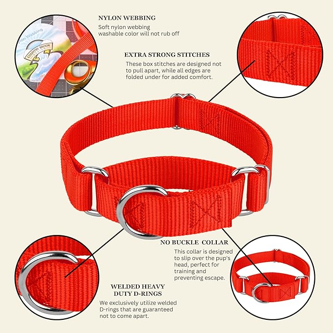 Country Brook Petz - Martingale Dog Collar - Heavy-Duty Training Collar with No Buckle - Service Dog Collar for All Pups - 10+ Warm Colors (Hot Orange, 1 Inch, Medium)