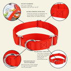 Country Brook Petz - Martingale Dog Collar - Heavy-Duty Training Collar with No Buckle - Service Dog Collar for All Pups - 10+ Warm Colors (Hot Orange, 1 Inch, Extra Large)