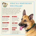 Country Brook Petz - Martingale Dog Collar - Heavy-Duty Training Collar with No Buckle - Service Dog Collar for All Pups - 10+ Cool Colors (Dark Olive Drab, 3/4 Inch, Small)