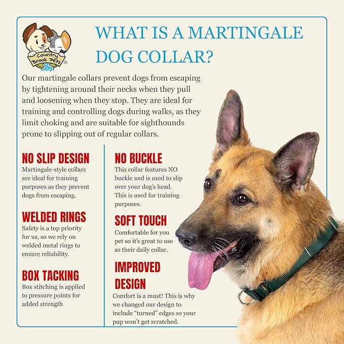 Country Brook Petz - Martingale Dog Collar - Heavy-Duty Training Collar with No Buckle - Service Dog Collar for All Pups - 10+ Warm Colors (Coyote Tan, 3/4 Inch, Small)