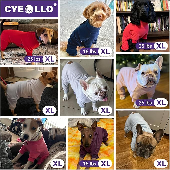 cyeollo Dog Pajamas Fleece Dog Pjs Jumpsuit Thermal Dogs Onesie Stretchable Doggie Outfits Pet Clothes Warm Pet Pajamas for Small Dogs Girls, Color Fuchsia